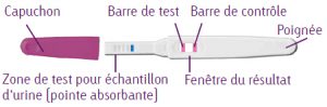 test ovulation batonnets